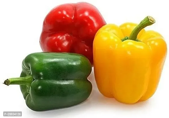 Baishnab capsicum seed lmprGardening Mix Color Capsicum Seeds50PIECE-thumb0