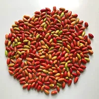 Baishnab Berry Seed 25psMiracle Berry   25 Seeds25PIECE-thumb2