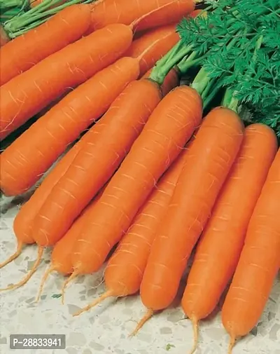 Baishnab Carrot seede 100ps mc fryhjCarrot Nantes seeds100PIECE