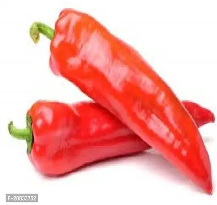 Baishnab Red chili sed 150psCW19 CHILLI MIRCHI HYBRID SEED150PIECE