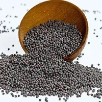 Baishnab Mustard seed 1kg mcs drRASI SEEDS ANMOL 1KG1PIECE-thumb2