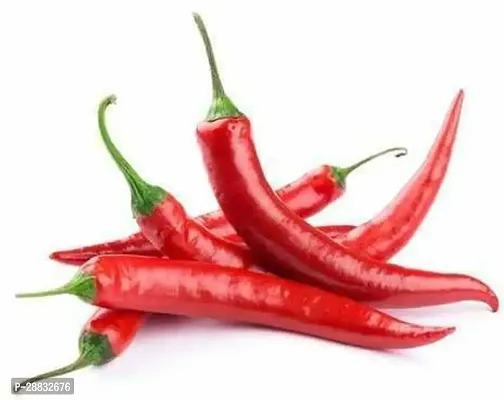 Baishnab chilli seed 10 per packetrbChilli Hybrid Vegetable Seeds   C839410PIECE