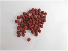 Baishnab Seed 50per packetXpl15650 Red Okra 4650PIECE-thumb2