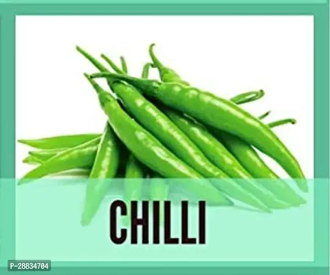 Baishnab chilli seed 100 per packet popGreen Chilli  Seeds Time Capsule100 Seeds100PIECE