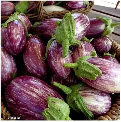 Baishnab Brinjal seeds 1000 per packet Hybrid Brinjal Seeds1000PIECE-thumb0