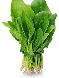 Baishnab Palak spinach 100ps mcpaalak seeds100PIECE-thumb3