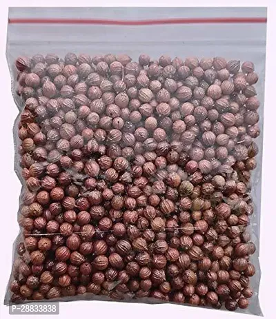 Baishnab Earth Seeds R 57Coriander251000PIECE-thumb2