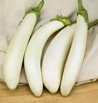 Baishnab BRIANJAI SEEDPLANHGM Brinjal White Long21055PIECE-thumb1