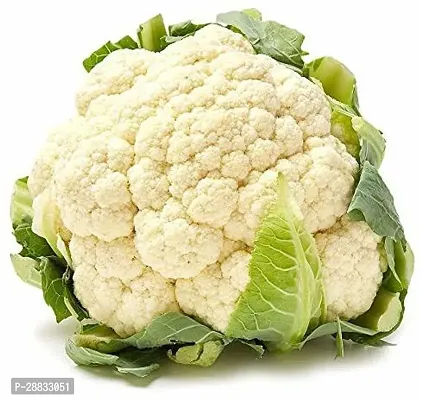 Baishnab Cauliflower Seed 60 PsNXX 10660PIECE-thumb0