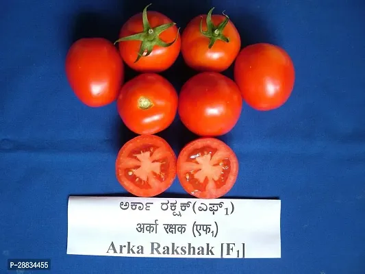 Baishnab tomato seed 100 ps vbTriple Disease Resistant Tomato F1 HybridArka Rakshak100PIECE