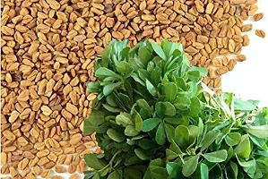 Baishnab methi seedsFenugreek Methi Seeds Methi Dana Seeds FS58150PIECE-thumb3