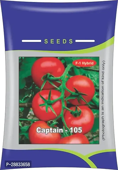 Baishnab Tomato seed 100 per packet ggF1 Hybrid Tomato Seeds100PIECE