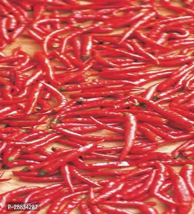 Baishnab Red chili sed pk 150seedCW38 CHILLI MIRCHI HYBRID SEED150PIECE