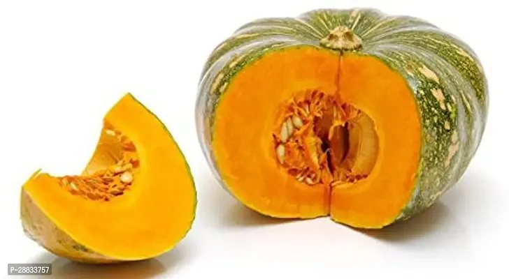 Baishnab Earth Seeds P121PUMPKIN18100PIECE-thumb0