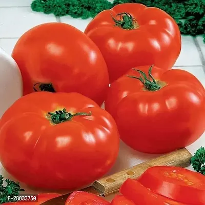 Baishnab Earth Seeds P215TOMATO29128PIECE