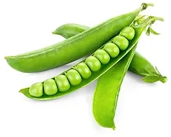 Baishnab Pea seed  5 per packetGreen Peas Haybrid Vegetable Seeds   S48755PIECE-thumb2