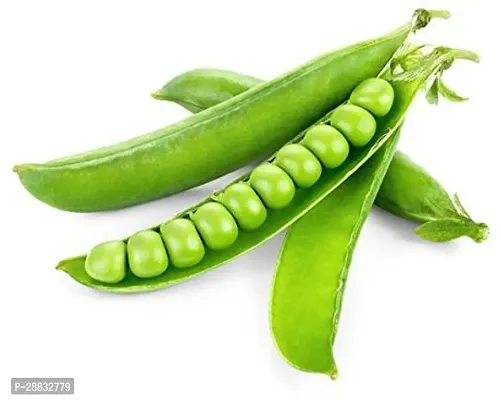 Baishnab Pea seed  5 per packetGreen Peas Haybrid Vegetable Seeds   S48755PIECE-thumb3