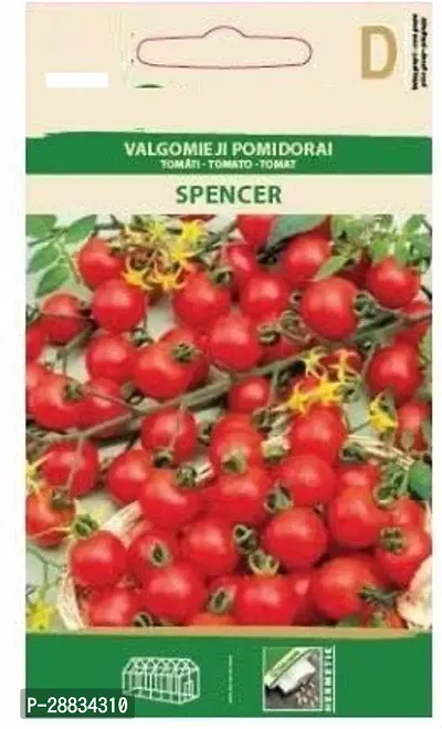 Baishnab tomato seed 500 ps loo Tomato Spencer Seeds500PIECE