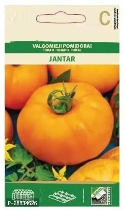 Baishnab tomato seed 1000 ps zzty Tomato JANTAR Seeds1000PIECE-thumb0