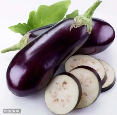 Baishnab Brinjal Seed 19 Ps0.XR 100219PIECE-thumb0