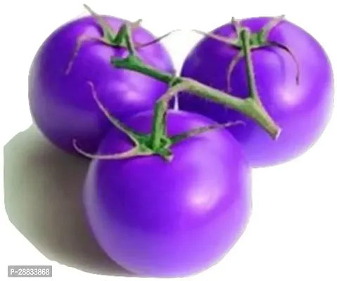 Baishnab Tomato seed 10 per packet dfIMPORTED PURPLE TOMATO10PIECE-thumb0