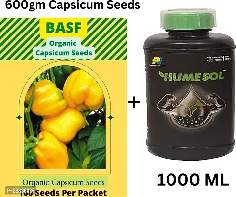 Baishnab yellow seeds capsicumYellow Capsicum Seed100PIECE