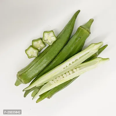 Baishnab Seed 250per packet XF330250 Green Okra 2098250PIECE-thumb0