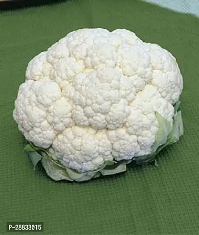 Baishnab cauliflower seeds 450 PIECESDSI SPL 264450PIECE-thumb0