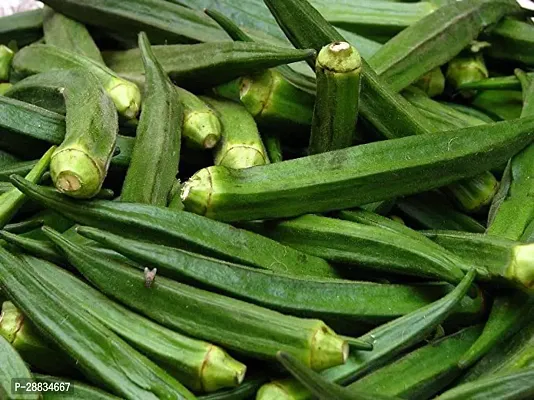 Baishnab Earth Seeds P39BHINDI78100PIECE