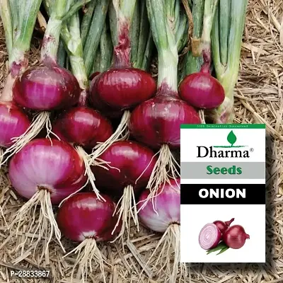 Baishnab Onion seed 50ps mc frjuOnion Seeds50PIECE