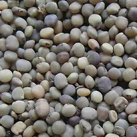 Baishnab Beans Seed 10 Ps AS 64410PIECE-thumb2