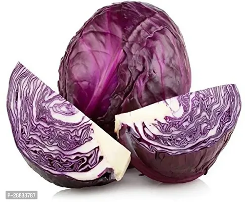 Baishnab Earth Seeds R 53cabbage79100PIECE