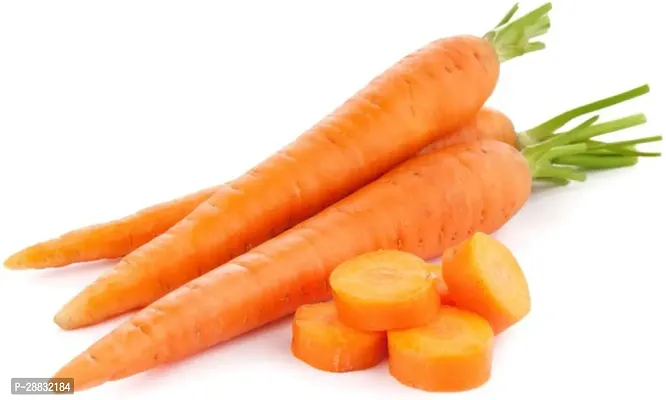 Baishnab Carrot Seed 44 PsXR 195344PIECE-thumb0