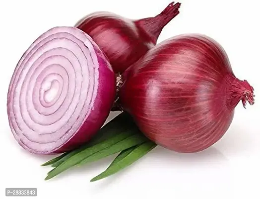 Baishnab Earth Seeds P143ONION23100PIECE-thumb0