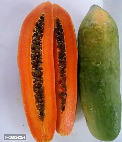 Baishnab Papaya seed xo 150psPW29 PAPAYA HYBRID SEED150PIECE