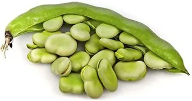 Baishnab Sem seed 50 per packet rbFlat Lima Bean Phaseolus Lunatus Sem Bakla Hurulee Kai Vegetable Seed50PIECE-thumb1