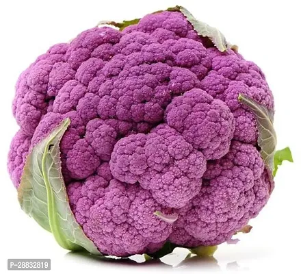 Baishnab purple cauliflower seed310 per packet rbPurple Cauliflower  Phol Gobhi  F1 Hybrid Vegetable Seeds   G4165310PIECE-thumb0