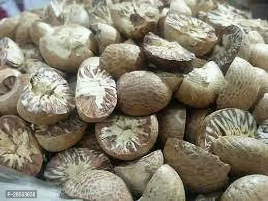 Baishnab Betel NutSupari Plant Betelnut Fruit Plant L1-thumb0