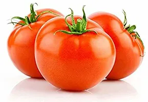 Baishnab tomato seed 100 per packet rbTomato Seeds  Around 100 Seeds Per pack100PIECE-thumb1