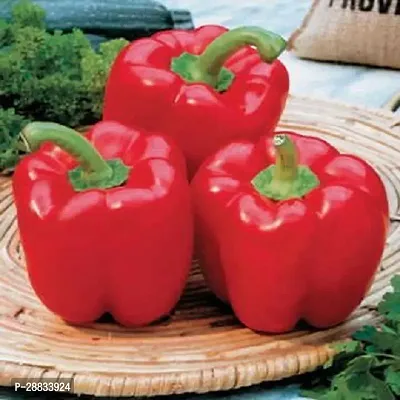 Baishnab capsicum seed hgHybrid Capsicum Red Seeds50PIECE