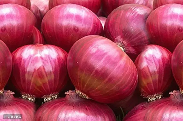 Baishnab Earth Seeds P117ONION43100PIECE-thumb0