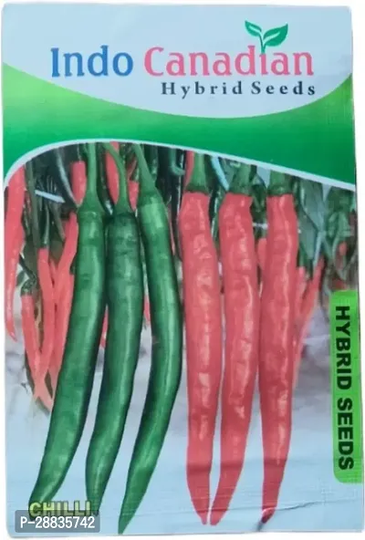 Baishnab Chilli seed 50gm mcCHILLI seed DESHI mirch hybrid pack of 550PIECE