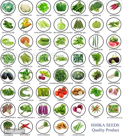 Baishnab Organic Vegetable Seeds 52pv RBVegetable Seeds52PIECE-thumb0