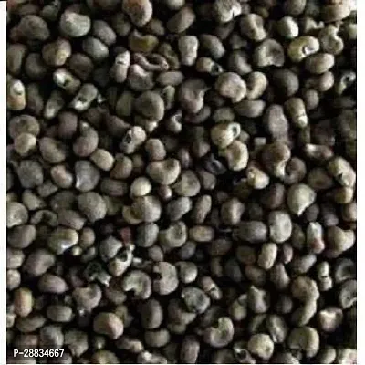 Baishnab Earth Seeds P39BHINDI78100PIECE-thumb2