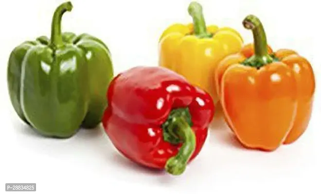 Baishnab Capcicum 20ps mcCapsicum yellow orange Green red color seed each 20 seed20PIECE