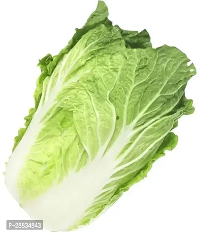 Baishnab Cabbage seed 100ps uyg mc Chinese Napa Cabbage Seeds100PIECE