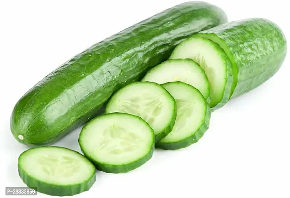 Baishnab cucumber seed 30 ps oo Cucumber Seed Hybrid Khira Summer Vegetable Seeds 30  Seeds30PIECE