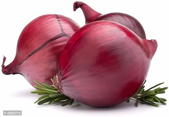 Baishnab Onion seed  90 per packet  rbRed Onion Hybrid Vegetable Seeds   R285190PIECE-thumb0