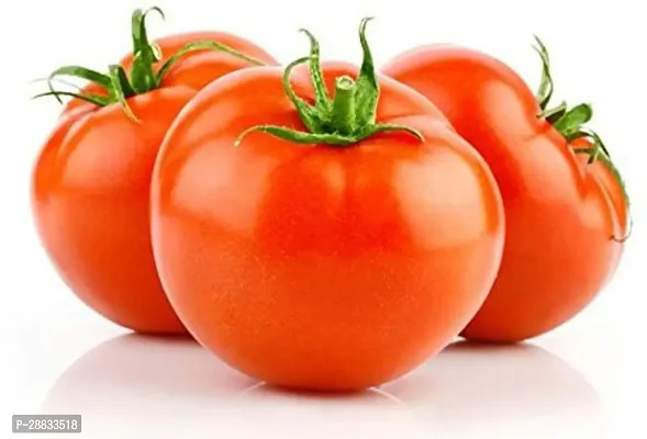 Baishnab Earth Seeds R 52TOMATO7106PIECE-thumb0