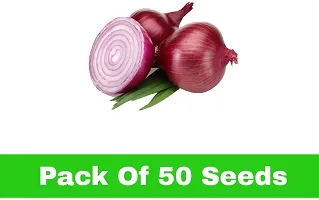 Baishnab Onion seed 50ps mc frjuOnion Seeds50PIECE-thumb1